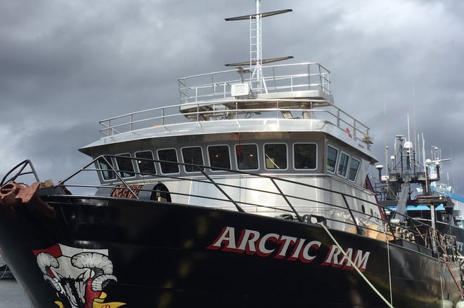 ArcticRam2048.jpg